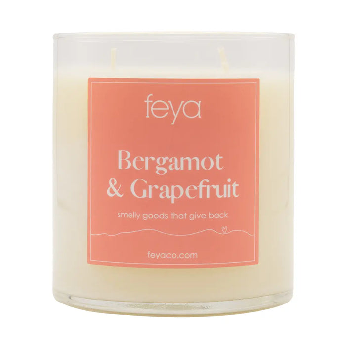 17oz Soy Candles - Assorted Fragrances