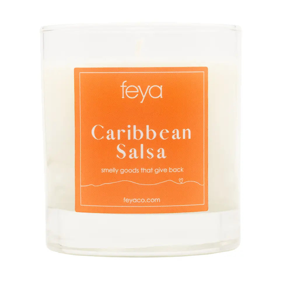 17oz Soy Candles - Assorted Fragrances